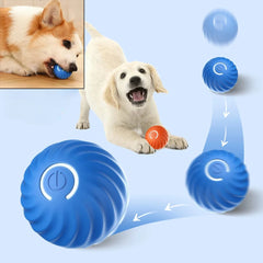 Bouncetug Play Ball  Interactive Pet Toy